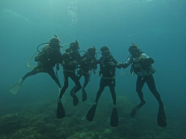 WhatsApp Image 2022-11-16 at 09.19.53